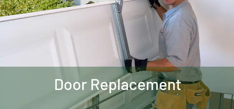  Door Replacement 