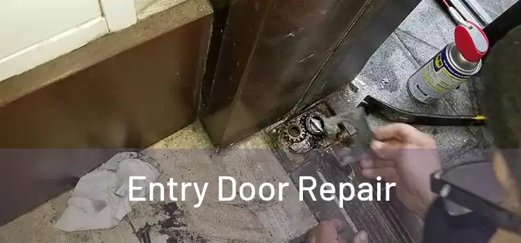 Entry Door Repair